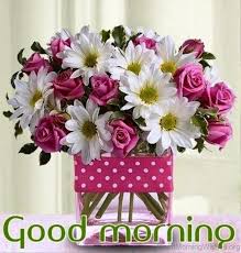 good morning photo के लिए इमेज परिणाम