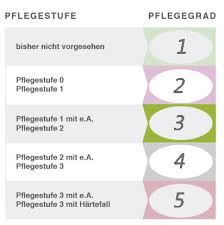 Täglich notwendiger pflegeaufwand von mindestens 90 minuten; Das Pflegeteam Senioren Und Krankenpflege Gmbh Pflegegrade
