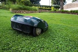 Als mieter dürfen sie ihn automatisch nutzen. Gartengestaltung Als Mieter Was Ist Erlaubt Und Was Nicht Neuigkeiten Fur Mieter Vermieter