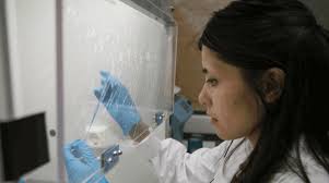 ESPCI Paris : Partir à l'étranger