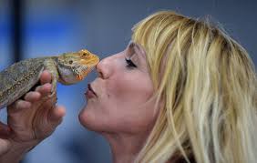 Opponents howl as county resurrects a ban