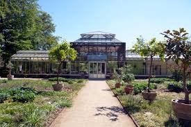 Der botanische garten kiel setzt bereits seit über 20 jahren keine pestizide mehr in der schaugewächshausanlage ein. Palmenhaus Cafe Gutersloh