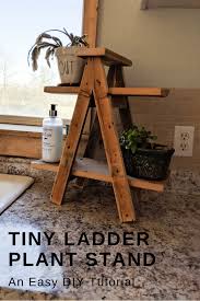 What is a double ladder stand? Tiny Ladder Plant Stand My Happy Simple Living