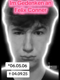 Im Gedenken an meinen Sohn Felix Conner Vor 2 Monaten bist du von uns ...