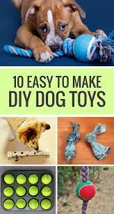All you need is some cardboard, a plastic jar, a glue gun, a popsicle stick. 10 Easy To Make Diy Dog Toys Puppy Leaks
