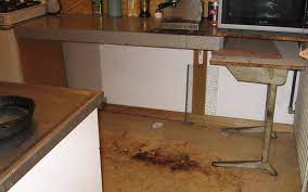 Get rid of maggots without chemicals. Question Why Are There Maggots On My Floor Kitchen