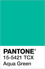 Poshmark makes shopping fun, affordable & easy! Ai Aqua Color Of The Year 2021 Aqua Color Color Of The Year Aqua