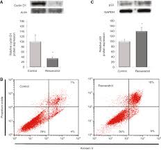 Mesothelioma often has a poor prognosis. Resveratrol Induces Cell Cycle Arrest And Apoptosis In Epithelioid Malignant Pleural Mesothelioma Cells