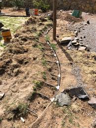 How to irrigate a lawn. Subsurface Drip Irrigation An Option For New Mexico Turf