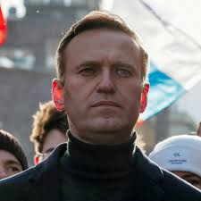 Navalny: Putin's Nemesis, Russia's Future? review
