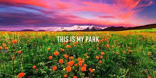 Ivy Park Weareivypark Twitter