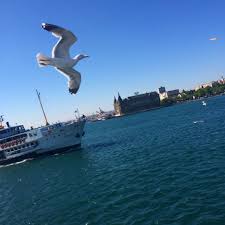 Ozden Gorhan Adli Kullanicinin Istanbul Panosundaki Pin