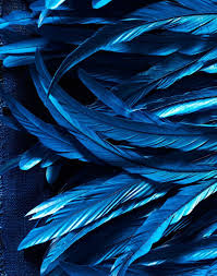 Sɴɪᴇɢᴅᴇᴊᴀ Deep Blue Aesthetic Mavi Sanat Renkler Mavi Resimler