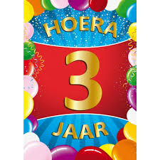3 Jaar Mega Deurposter 59 X 84 Cm Leeftijd Verjaardag Feestartikelen Versiering Blokker