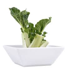 Maybe you would like to learn more about one of these? Regrowing Bok Choy Plants How To Regrow Bok Choy In Water