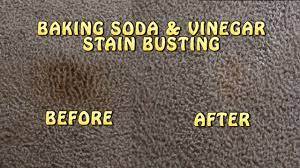 The vinegar will foam when it hits the baking soda which will clean the stain. How To Clean Carpet Stains 12 Steps With Pictures Wikihow