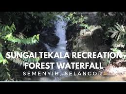 Weekend Gateway I Sungai Tekala Recreation Forest Waterfall Semenyih Youtube