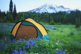 Andre gode campingmuligheder som big creek campground kan findes i de forskellige nationale skove, der grænser op til parkens grænser. Back Country Camping Near The Skyline Trail Mount Rainier National Park Washington United States Of America Stock Photo Dissolve