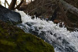 Der nationalpark liegt etwa 30 km von der stadt helsingborg entfernt in der gleichnamigen hügellandschaft. Soderasens Okanda Vattenfall Visit Soderasen
