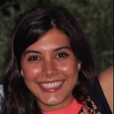 Climate detectives use kauri tree clues to uncover secrets from Antarctica 