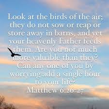 Look At The Birds Of The Air Esv Matthew 6 26 27 Matthew 6 26 Heavenly Father Prayer Verses