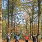 Brighton Girls MTB Network: Social Ride at Stanmer event image