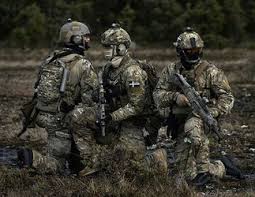 Résultat de recherche d'images pour "photo des forces spéciales suédoises"