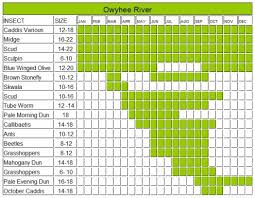 owyhee river hatch chart