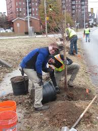National Volunteer Appreciation Week 2021