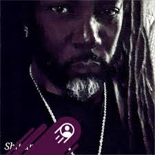 If you are a Godzilla fan say yes ❤️🔥