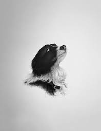 Summer Stageline, 2023 by CFD Old West Museum