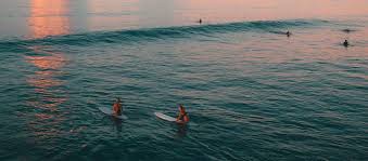 Image result for Surfing