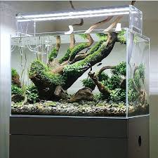 Pin By Krasa On Aquascaping Fish Aquarium Decorations Aquarium Aquascape