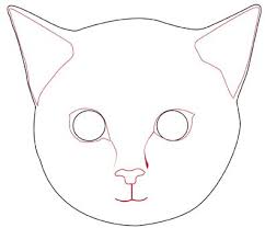 Draw the cat from the sketch. Image Titled Erase Guides Step 6 Cat Face Drawing Face Drawing Simple Face Drawing