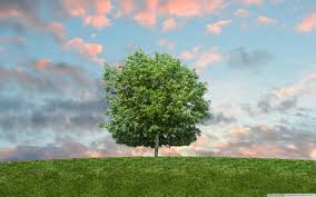 Maybe you would like to learn more about one of these? Silabus Program Persiapan Ma Had Al Mubarok Al Mubarok