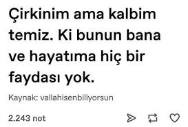 Dobby Nin Corabi Adli Kullanicinin Maltivitler Panosundaki Pin Goruntuler Ile Guzel Soz Ozlu Sozler Alintilar
