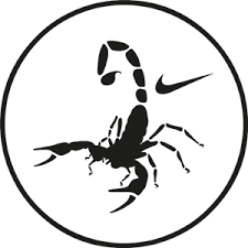 Download Nike Logo Vectors Free Download