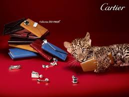 Check spelling or type a new query. French Cartier Jewelery Wallpaper 2 Say Famous