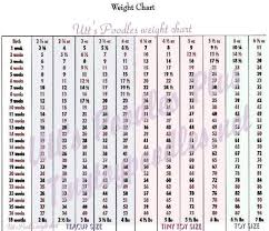 Miniature Poodle Weight Chart Goldenacresdogs Com