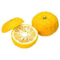 Les Fruits Et Legumes Commencant Par La Lettre Y Les Saisons Des Fruits Et Legumes