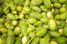 Image result for Cucumis engleri
