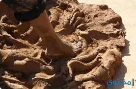 تفسير رؤية الطين في المنام لابن سيرين خير أم شر موقع محتوى