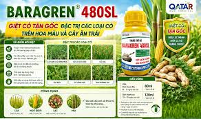 Stazole top 650WP