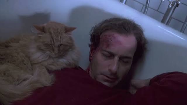 Single White Female (1992) - Cinema Cats