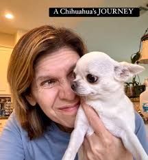 Breeder sent me photos of my pup from today ❤️ She's so silly always has  something stuck to her nose!