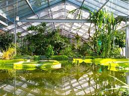 Der botanische garten der universität basel wurde 1589 von caspar bauhin gegründet und befand sich ursprünglich unterhalb der heutigen alten universität beim rheinsprung. Sehenswurdigkeiten