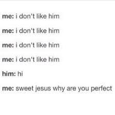 30 Crush Quotes Funny Crush Memes Funny Quotes Crush Quotes