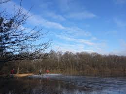 Het 80 hectare grote gebied is deel van boswachterij leersum van staatsbosbeheer. Marco Geijtenbeek On Twitter Er Wordt Volop Geschaatst Op Het Leersumse Veld Prachtig Rtvutrecht Schaatsen Https T Co Uqic1kunhr Twitter