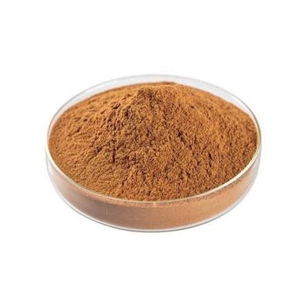 Powder Areca Catechu Extracts, Packaging Type: Plastic Packet, Packaging Size: 5 kg at ₹ 2100/kg in Surat
