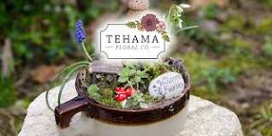 Beginning Floristry: Fairy Garden Workshop